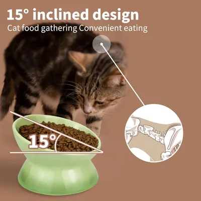 Reitlaze Gamelle pour chat en céramique