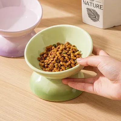 Reitlaze Gamelle pour chat en céramique