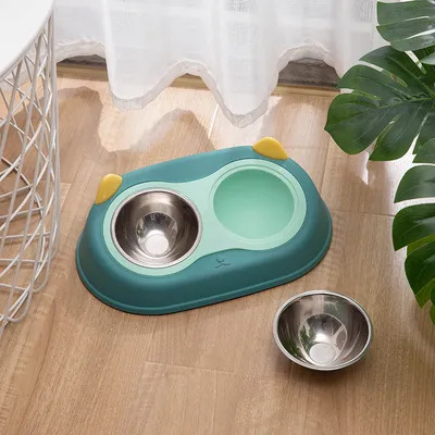Reitlaze Comedero elevado extraíble para gatos