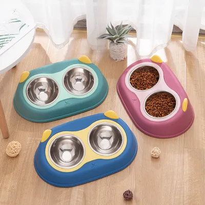 Gamelle surélevée amovible pour chat