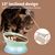 Gamelle pour chat en céramique