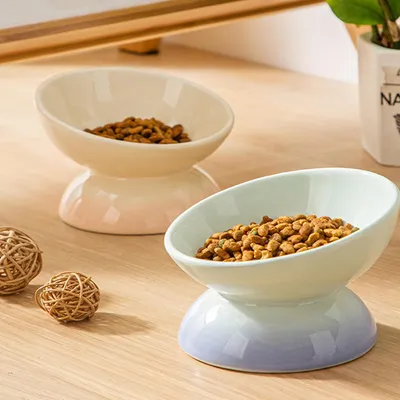 Gamelle pour chat en céramique