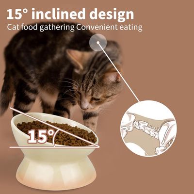 Gamelle pour chat en céramique