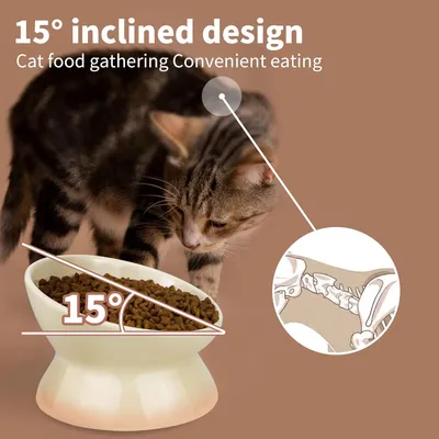 Gamelle pour chat en céramique