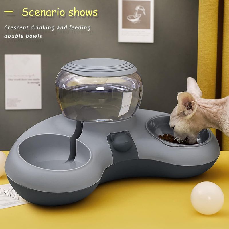 Mangeoire pour chat avec distributeur d'eau