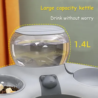 Mangeoire pour chat avec distributeur d'eau