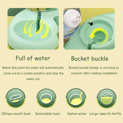 Mangeoire pour chat avec distributeur d'eau