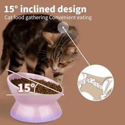 Reitlaze Gamelle pour chat en céramique