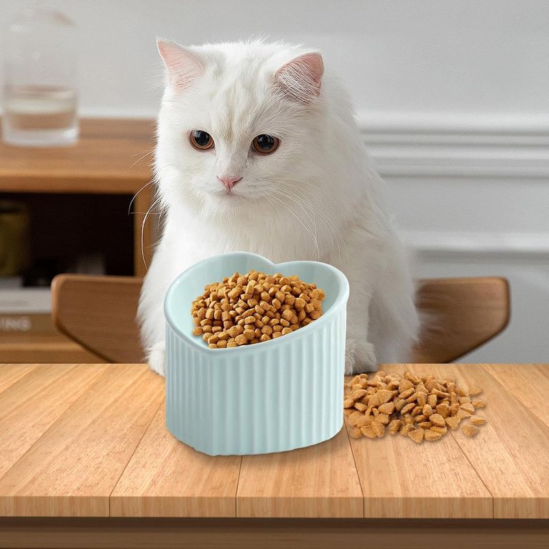 KPYTE Gamelle pour chat en forme de cœur