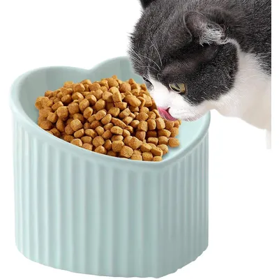 KPYTE Gamelle pour chat en forme de cœur