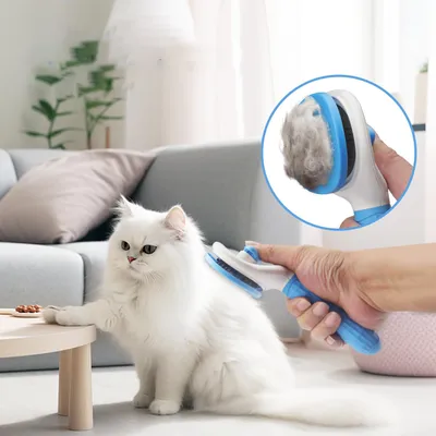 Reitlaze Brosse de toilettage pour chat