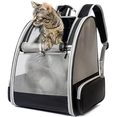 Reitlaze Sac de voyage respirant pour chat