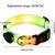 Reitlaze Laisse lumineuse pour chien
