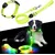 Reitlaze Laisse lumineuse pour chien