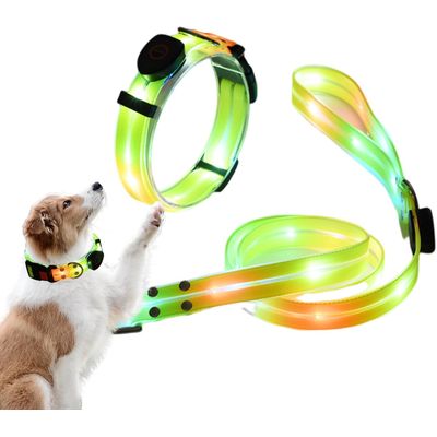 Reitlaze Laisse lumineuse pour chien