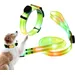 Reitlaze Laisse lumineuse pour chien