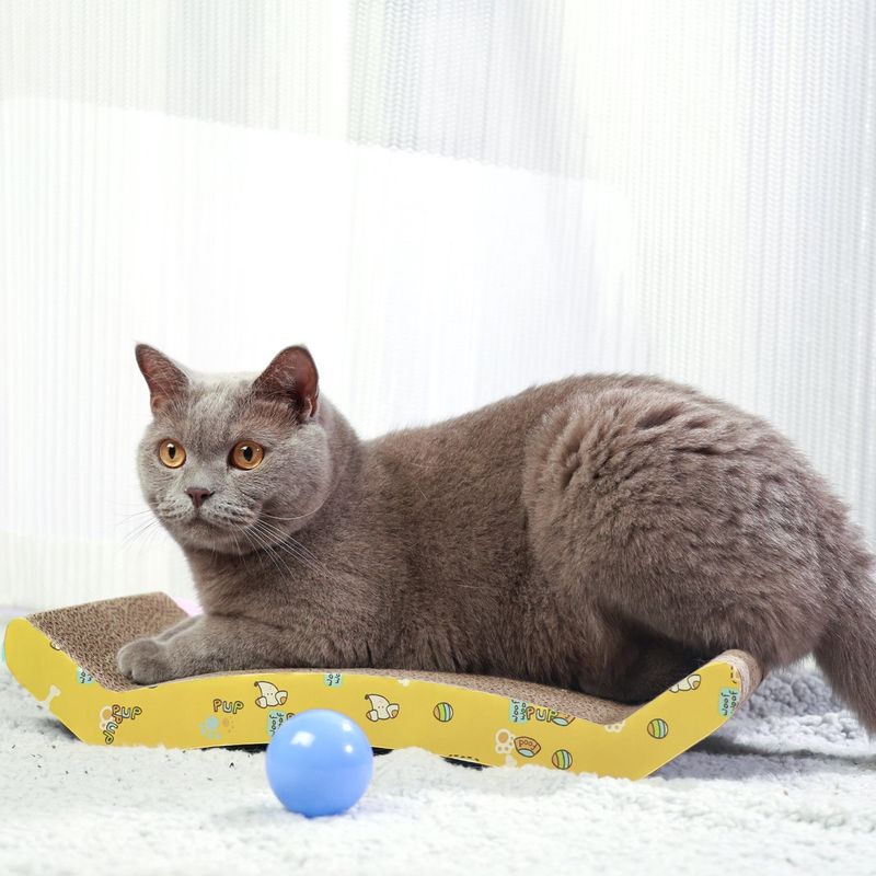 Griffoir avec herbe à chat