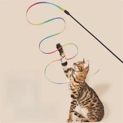 IntiMeg Bâton à chat rigolo - Arc-en-ciel