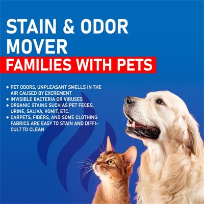 IntiMeg Désodorant pour chien en chat