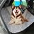 IntiMeg Tapis de voiture pour chien