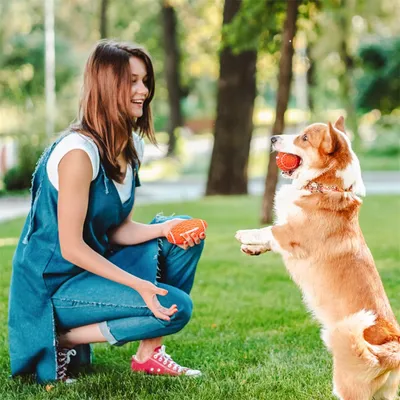 IntiMeg Balle à couiner pour chiens