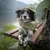 IntiMeg Wasserdichter Hundemantel IntiMeg Wasserdichter Hundemantel