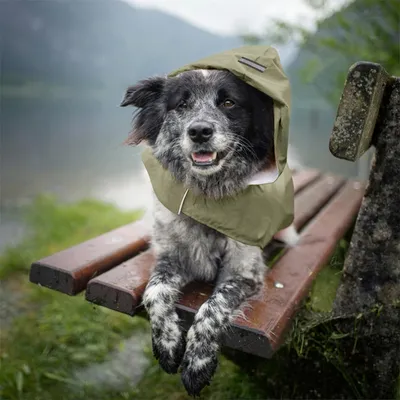 IntiMeg Wasserdichter Hundemantel IntiMeg Wasserdichter Hundemantel