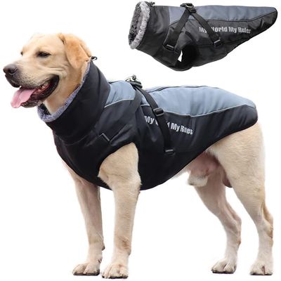 IntiMeg Manteau imperméable pour chien
