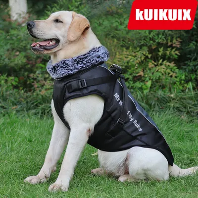 IntiMeg Wasserdichter Hundemantel IntiMeg Wasserdichter Hundemantel