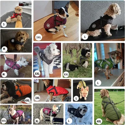 IntiMeg 2-in-1-Wintermantel für kleine Hunde IntiMeg 2-in-1-Wintermantel für kleine Hunde