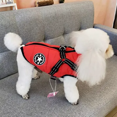 IntiMeg 2-in-1-Wintermantel für kleine Hunde IntiMeg 2-in-1-Wintermantel für kleine Hunde