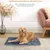 IntiMeg Coussin auto - chauffant pour chat et chien