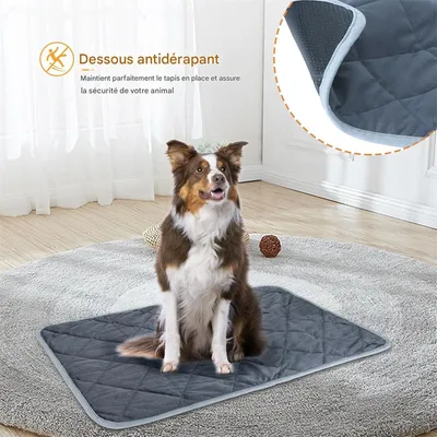 IntiMeg Coussin auto - chauffant pour chat et chien