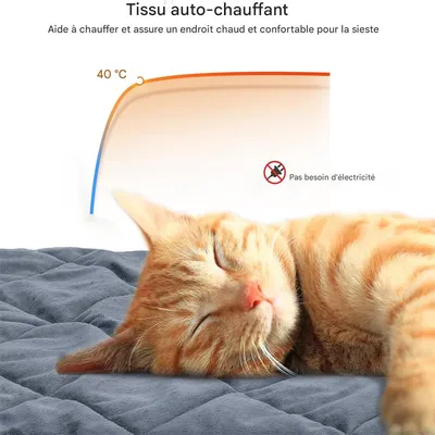 IntiMeg Coussin auto - chauffant pour chat et chien