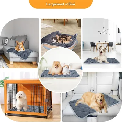 IntiMeg Coussin auto - chauffant pour chat et chien