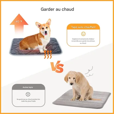 IntiMeg Coussin auto - chauffant pour chat et chien