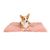 IntiMeg Couverture moelleuse en peluche pour chien
