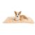 IntiMeg Couverture moelleuse en peluche pour chien