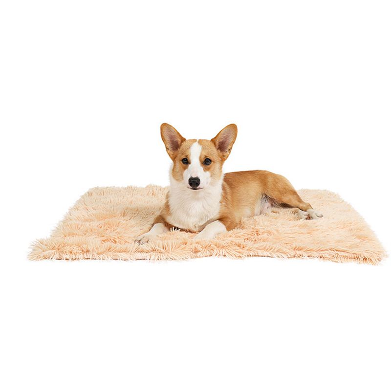 IntiMeg Couverture moelleuse en peluche pour chien