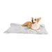 IntiMeg Flauschige Plüschdecke für Hunde