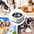 IntiMeg Distributeur d'eau chauffante pour chien et chat