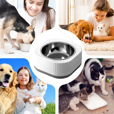 IntiMeg Distributeur d'eau chauffante pour chien et chat