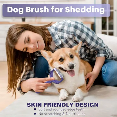 IntiMeg Brosse de 3 en 1 pour Chats et Chiens