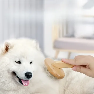 IntiMeg Peigne d'épilation pour chiens et chats