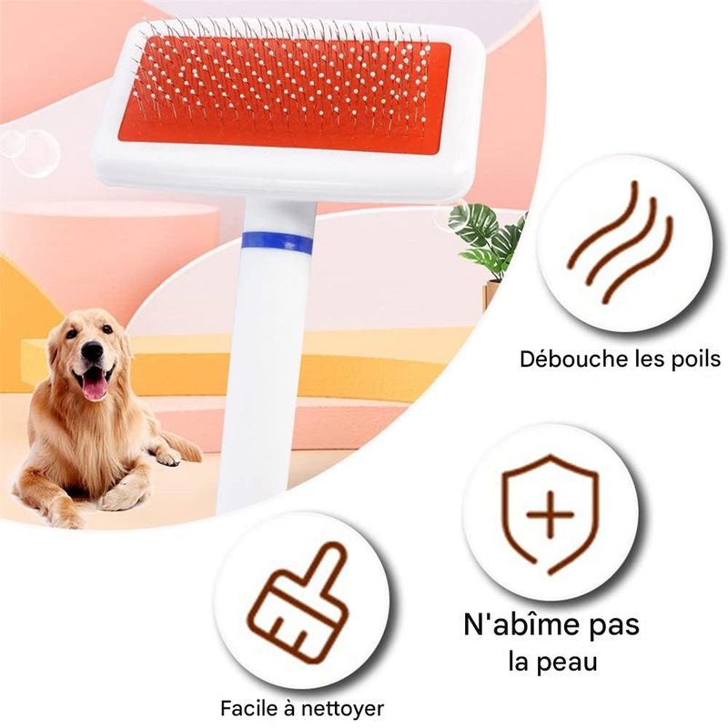 IntiMeg  Brosse de nettoyage