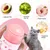IntiMeg Deux pièces - Crème pour les ongles pour chats et chiens IntiMeg Deux pièces - Crème pour les ongles pour chats et chiens