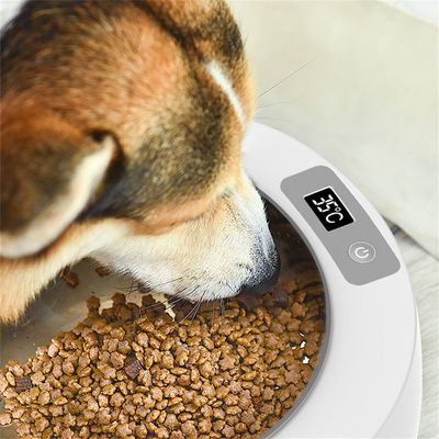 IntiMeg Gamelle chauffante pour chien et chat