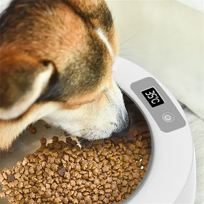 IntiMeg Comedero con calefacción para perros y gatos