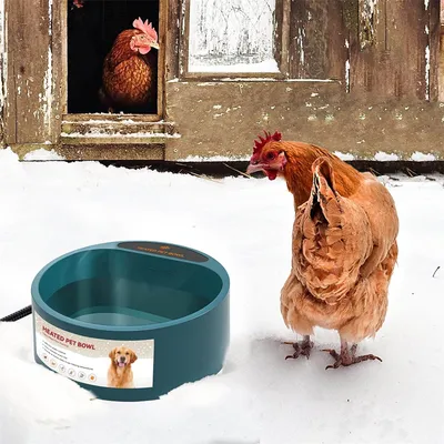 IntiMeg Gamelle chauffante d'extérieur pour chien