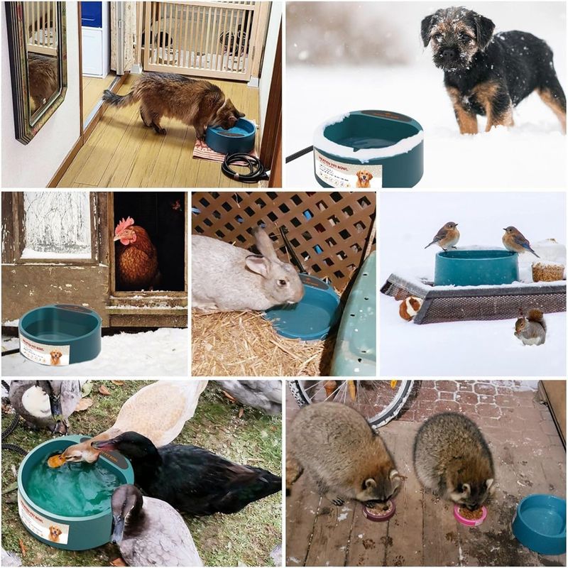 IntiMeg Gamelle chauffante d'extérieur pour chien